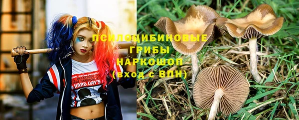 ПСИЛОЦИБИНОВЫЕ ГРИБЫ Нефтекумск