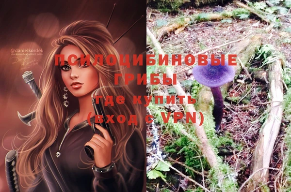 винт Бронницы