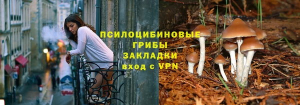 jwh Бородино