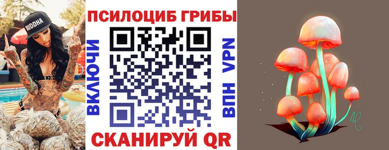 shop как зайти  Волоколамск  Галлюциногенные грибы мицелий  где найти  